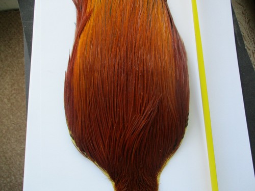 Metz cock neck cape - cape, brown