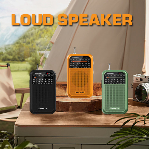 Xhdata d220 portable radio - portable,