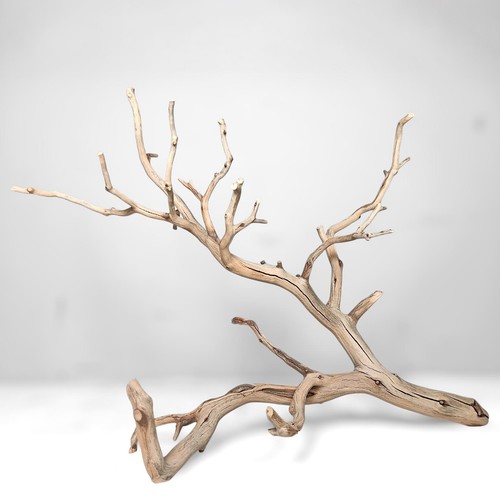 Manzanita driftwood - 21.5",