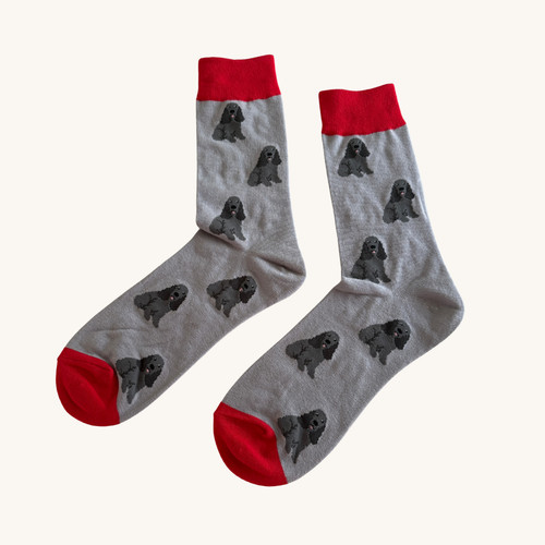 Black cocker spaniel socks dog - black,