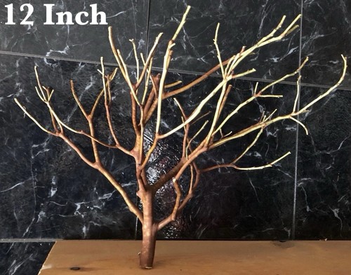 Inch tall manzanita real - inch,