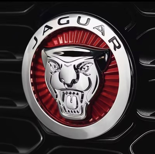Front grille name emblem badge - front,