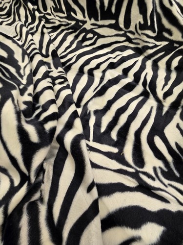 Today interiors wild zebra - today,