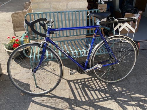 Thorn audax reynolds - audax,