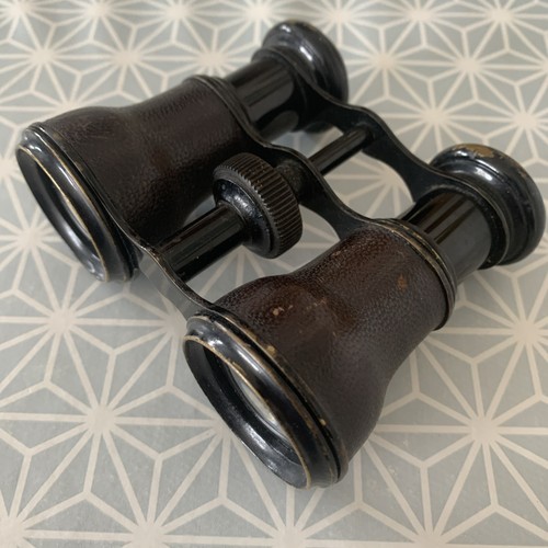 Antique opera glasses likely - antique,