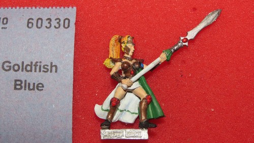 High elves maiden guard - elves,