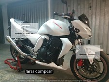 puntale kawasaki z 750 OLD dal 03-06 +  staffe 