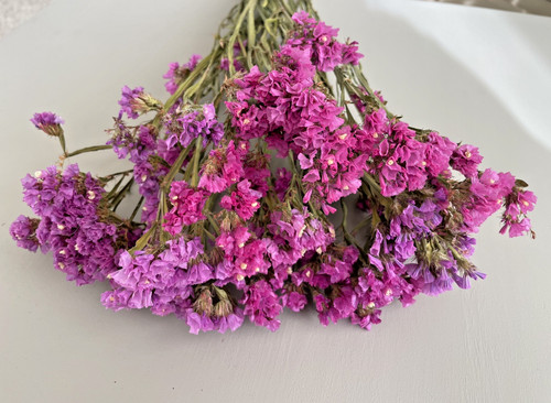 Dried flower statice - dried, bunch