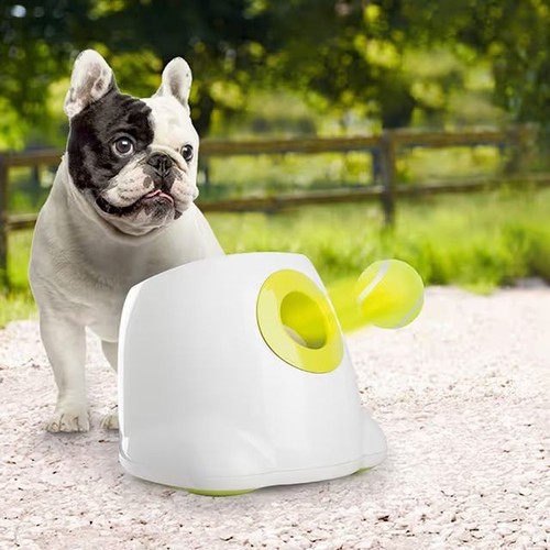 All for paws automatic - for, dog