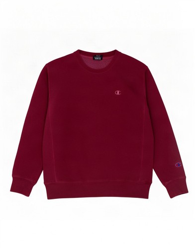 Champion mens sweatshirt - champion,