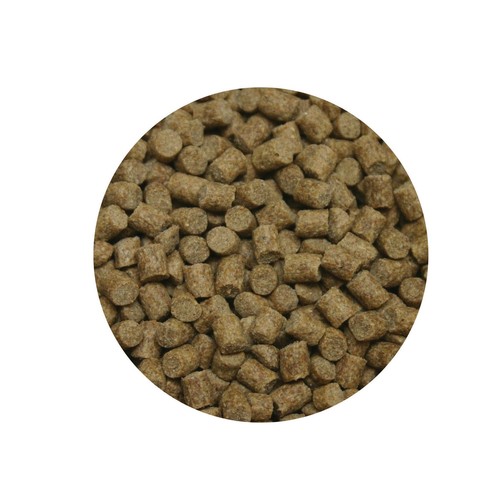 Skretting coarse fish sinking - skretting,
