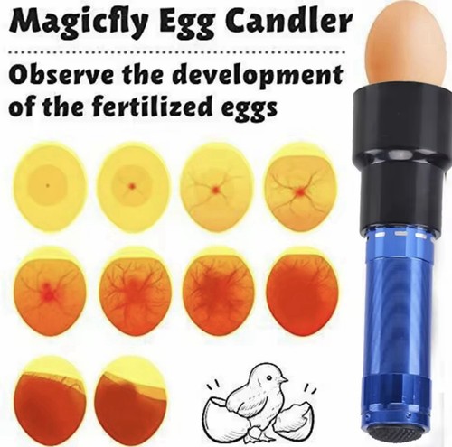 Egg candler tester led - candler, 9