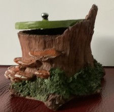 Fiddlehead fairy garden - garden,