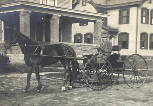 Rppc horse buggy neighborhood - rppc,