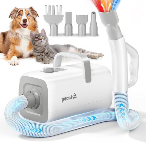 Dog hair dryer dogs - dog,