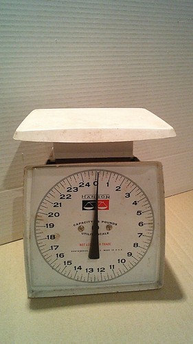 Hanson 25lb scale - hanson,