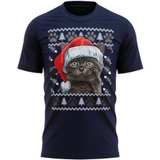 British Shorthair Cat