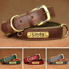 Soft Leather Padded Dog Collar