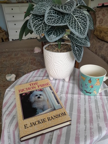 Bichon frise breed book - book, for