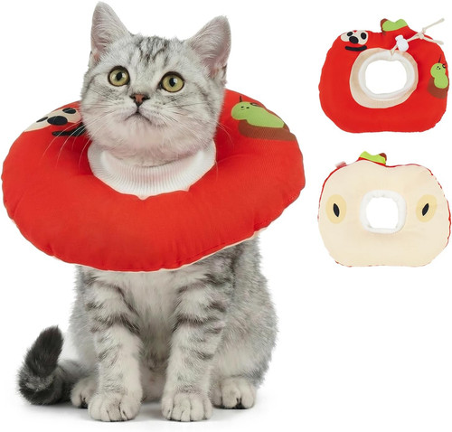Cat neck wound collar soft - wound, collar,