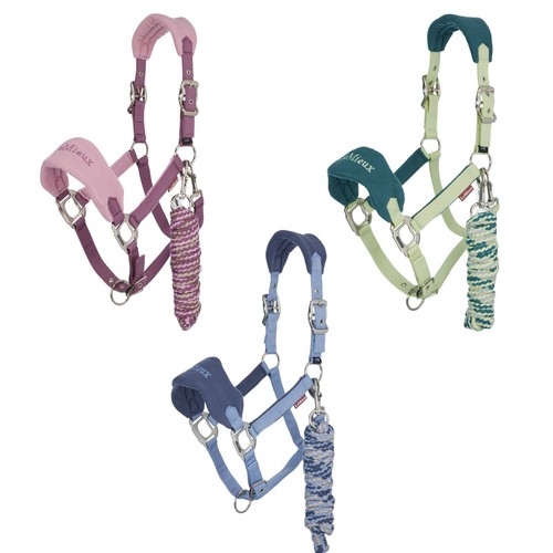Lemieux vogue headcollar - headcollar, &
