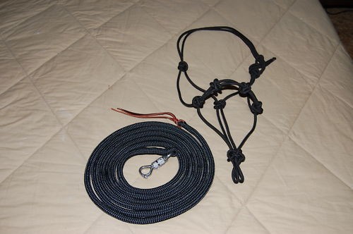 Stiff halter lead - stiff, halter,
