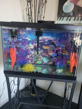Tetra ColorFusion Aquarium 20 Gallon Fish Tank