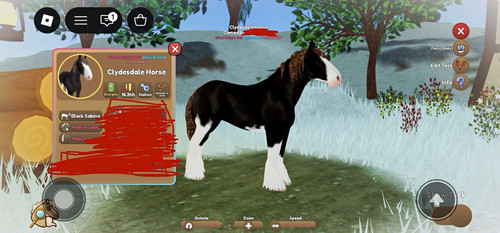 Wild horse islands clydesdale - horse,