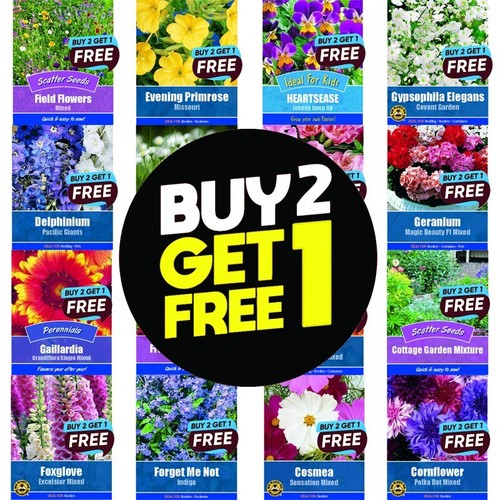 Flower seeds grow - seeds, own