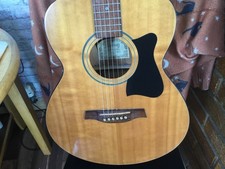ibanez acoustic guitar used