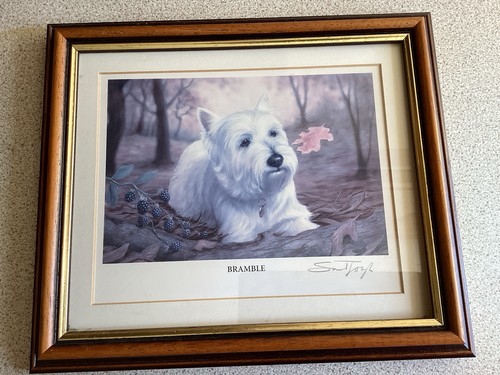 Sandy toye bramble signed - toye,