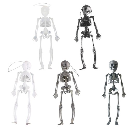 Halloween skeleton decoration - halloween,
