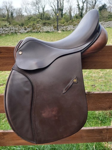 Jefferies falcon hawk - jefferies,