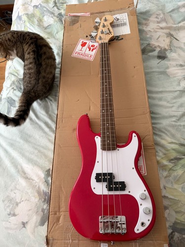 Squier mini precision - mini,