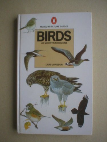 Birds mountain regions - birds, of