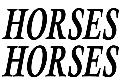 Vinyl horses decals - 1m,