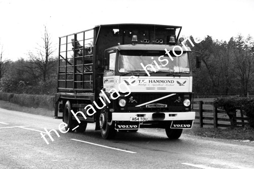 Thh truck photos - -,