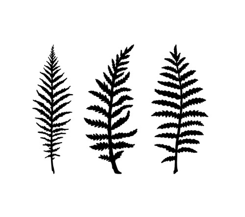 Fern tree leaf vinyl - fern,