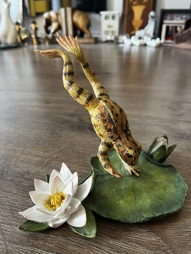 Frog diving lily - lily, pad