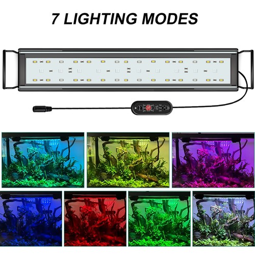Aquarium light over head - light, over-head
