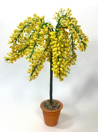 Yellow blossom tree laburnum - yellow,