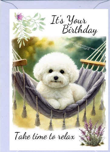 Bichon frise dog birthday card - birthday,