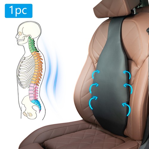 Lower back orthopaedic lumbar - lower,