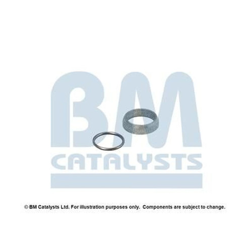 Catalysts exhaust pipe - bm,