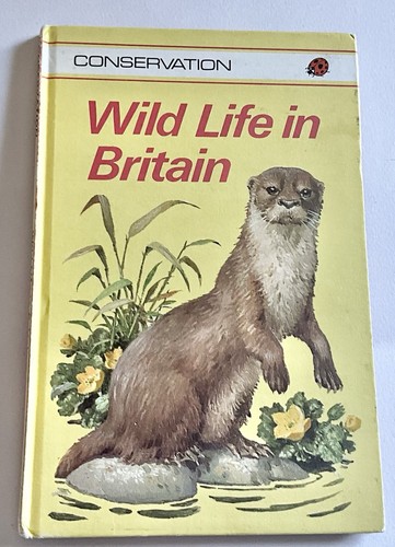 Vintage ladybird book - vintage,