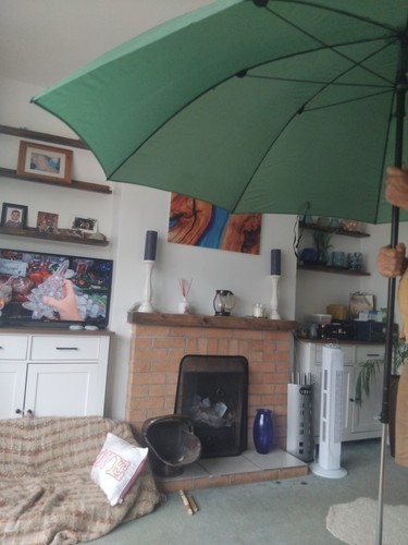 Green fishing brolly - green, size