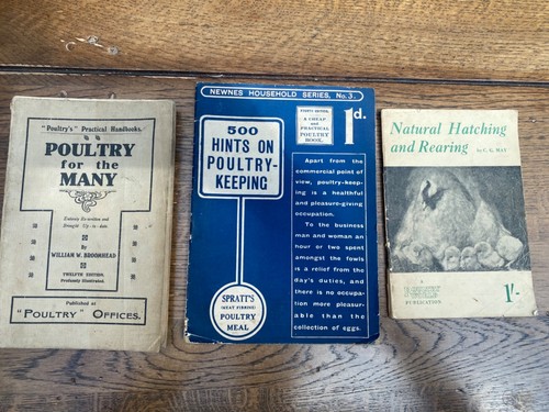 Antique and vintage - antique,