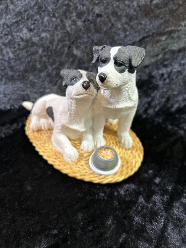 Pair jack russell - of,