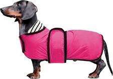 Morezi Dachshund coat