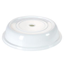 12 X Clear Polypropylene Plate